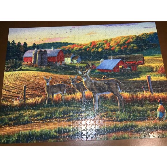 Darrell Bush Harvest Time 1000-Piece Jigsaw Puzzle By Buffalo Games - Picture 2 of 10